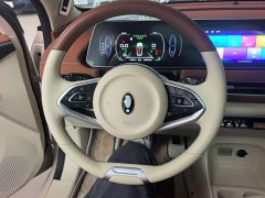 ORA Good Cat 400km Standard Range Luxury Lithium Iron Phosphate - ფოტო 11
