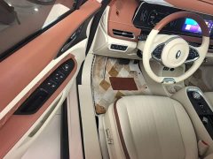 ORA Good Cat 400km Standard Range Luxury Lithium Iron Phosphate - ფოტო 16