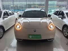 ORA Good Cat 400km Standard Range Luxury Lithium Iron Phosphate - ფოტო 3