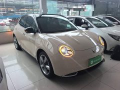 ORA Good Cat 400km Standard Range Luxury Lithium Iron Phosphate - ფოტო 4