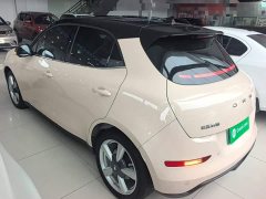 ORA Good Cat 400km Standard Range Luxury Lithium Iron Phosphate - ფოტო 5