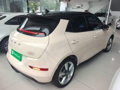 ORA Good Cat 400km Standard Range Luxury Lithium Iron Phosphate - ფოტო 7