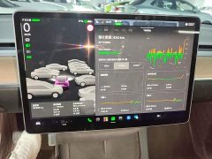 Tesla Model Y Long Range All-Wheel Drive - ფოტო 12