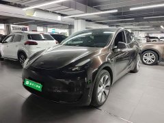 Tesla Model Y Long Range All-Wheel Drive - ფოტო 2