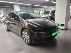 Tesla Model Y Long Range All-Wheel Drive - ფოტო 4