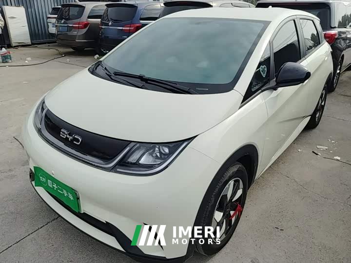 BYD Dolphin 2025 420km Freedom Edition - ავტომობილი ჩინეთიდან