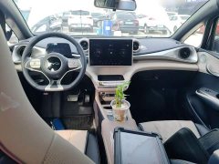 BYD Dolphin 2025 420km Freedom Edition - ფოტო 10