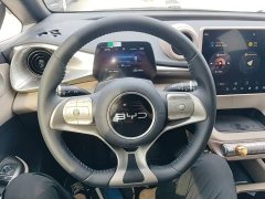 BYD Dolphin 2025 420km Freedom Edition - ფოტო 11