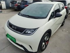BYD Dolphin 2025 420km Freedom Edition - ფოტო 2