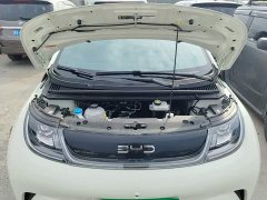 BYD Dolphin 2025 420km Freedom Edition - ფოტო 20