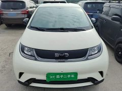 BYD Dolphin 2025 420km Freedom Edition - ფოტო 3