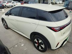 BYD Dolphin 2025 420km Freedom Edition - ფოტო 5