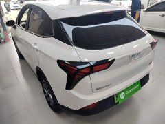 Neta V Standard Range Entertainment Edition - ფოტო 5