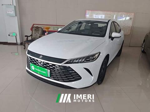 2025 BYD Qin PLUS DM-i Smart Drive Edition 55KM Leading