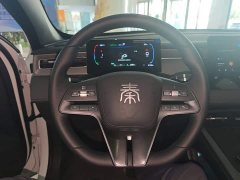 BYD Qin PLUS DM-i Smart Drive Edition 55KM Leading - ფოტო 11