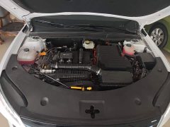 BYD Qin PLUS DM-i Smart Drive Edition 55KM Leading - ფოტო 20