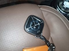 Wuling Binguo 2023 410km Lingxi Premium Edition - ფოტო 9