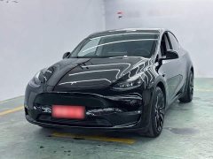 Tesla Model Y Standard Range RWD - ფოტო 1