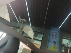 Tesla Model Y Standard Range RWD - ფოტო 8