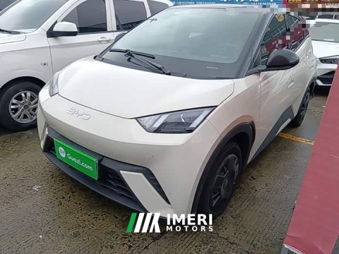 2024 BYD Seagull Glory Edition 305km Vitality Version - ავტომობილი ჩინეთიდან