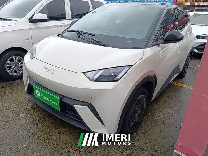 BYD Seagull Glory Edition 305km Vitality Version