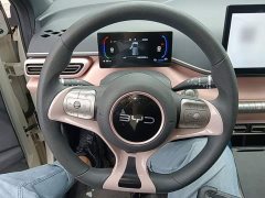 BYD Seagull Glory Edition 305km Vitality Version - ფოტო 11