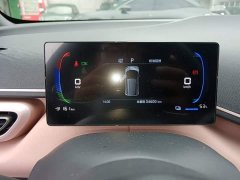 BYD Seagull Glory Edition 305km Vitality Version - ფოტო 12