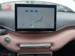BYD Seagull Glory Edition 305km Vitality Version - ფოტო 13