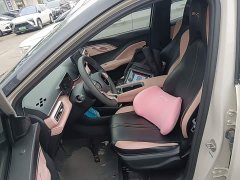 BYD Seagull Glory Edition 305km Vitality Version - ფოტო 15