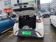 BYD Seagull Glory Edition 305km Vitality Version - ფოტო 19
