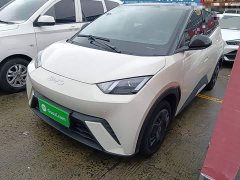 BYD Seagull Glory Edition 305km Vitality Version - ფოტო 2