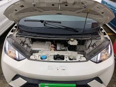 BYD Seagull Glory Edition 305km Vitality Version - ფოტო 20