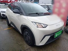 BYD Seagull Glory Edition 305km Vitality Version - ფოტო 4