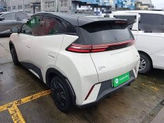 BYD Seagull Glory Edition 305km Vitality Version - ფოტო 5