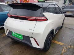 BYD Seagull Glory Edition 305km Vitality Version - ფოტო 7