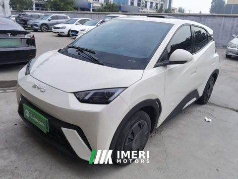 2025 BYD Seagull 305km Vitality Edition - ავტომობილი ჩინეთიდან