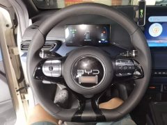 BYD Seagull 305km Vitality Edition - ფოტო 11