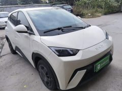 BYD Seagull 305km Vitality Edition - ფოტო 4