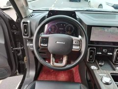 Great Wall Dachshund 2021 1.5T DCT Two-Wheel Drive Border Collie Edition - ფოტო 11