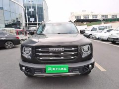 Great Wall Dachshund 2021 1.5T DCT Two-Wheel Drive Border Collie Edition - ფოტო 3