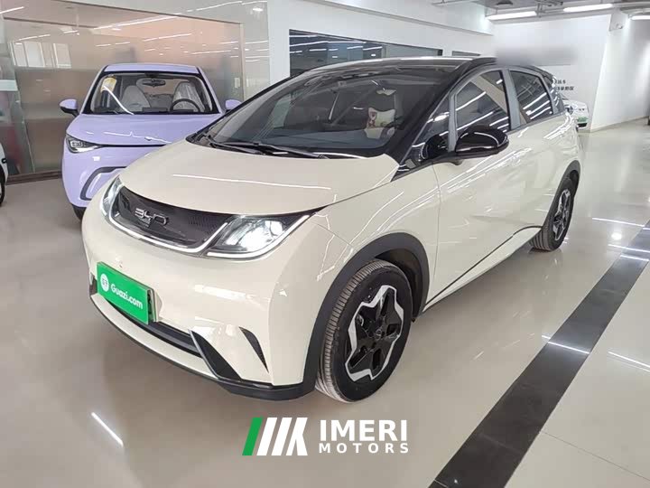 BYD Dolphin 405km Fashion Edition
