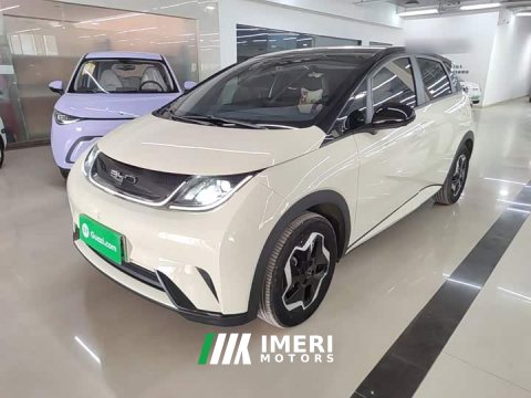 2022 BYD Dolphin 405km Fashion Edition - ავტომობილი ჩინეთიდან