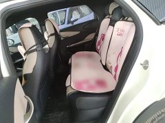 BYD Dolphin 405km Fashion Edition - ფოტო 17