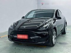 Tesla Model Y Rear-Wheel Drive - ფოტო 2