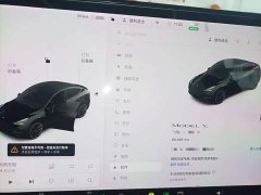 Tesla Model Y Standard Range RWD - ფოტო 4