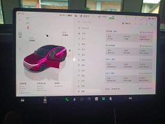 Tesla Model Y Rear-Wheel Drive - ფოტო 12