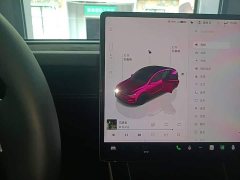 Tesla Model Y Rear-Wheel Drive - ფოტო 14