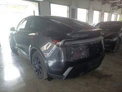 Tesla Model Y Rear-Wheel Drive - ფოტო 5