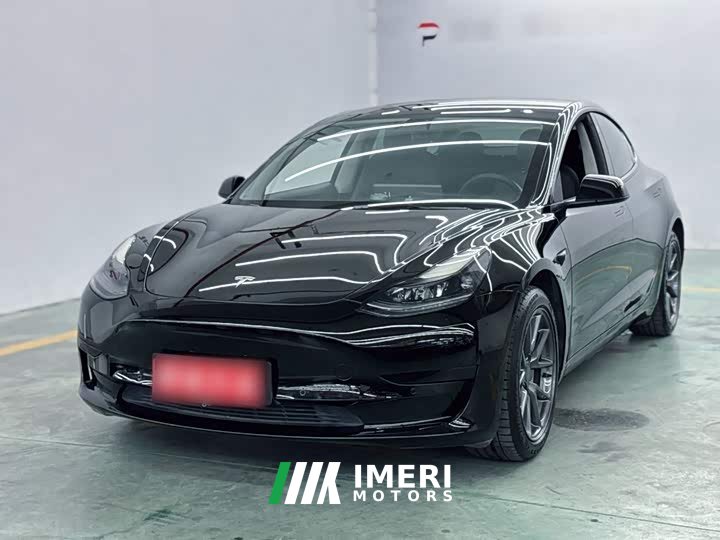 Tesla Model 3 Standard Range RWD Upgrade 3D6