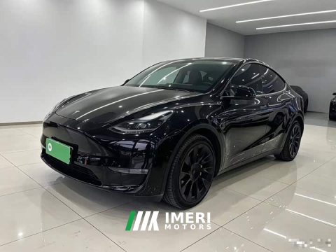 2021 Tesla Model Y Standard Range RWD - ავტომობილი ჩინეთიდან